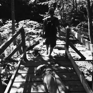 Meet your Posher, Peter